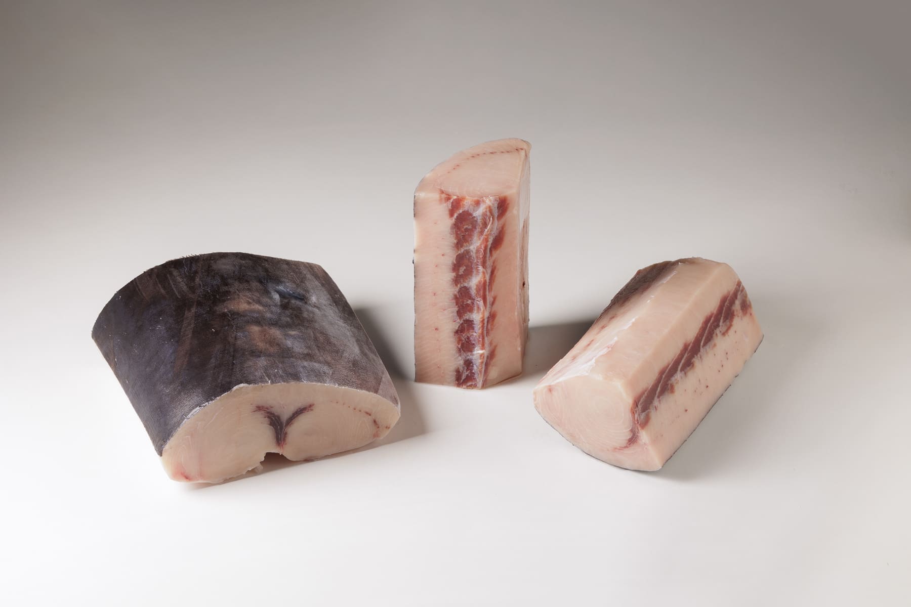 productos pez espada 1 – pesca sostenible | Espaderos del Atlántico