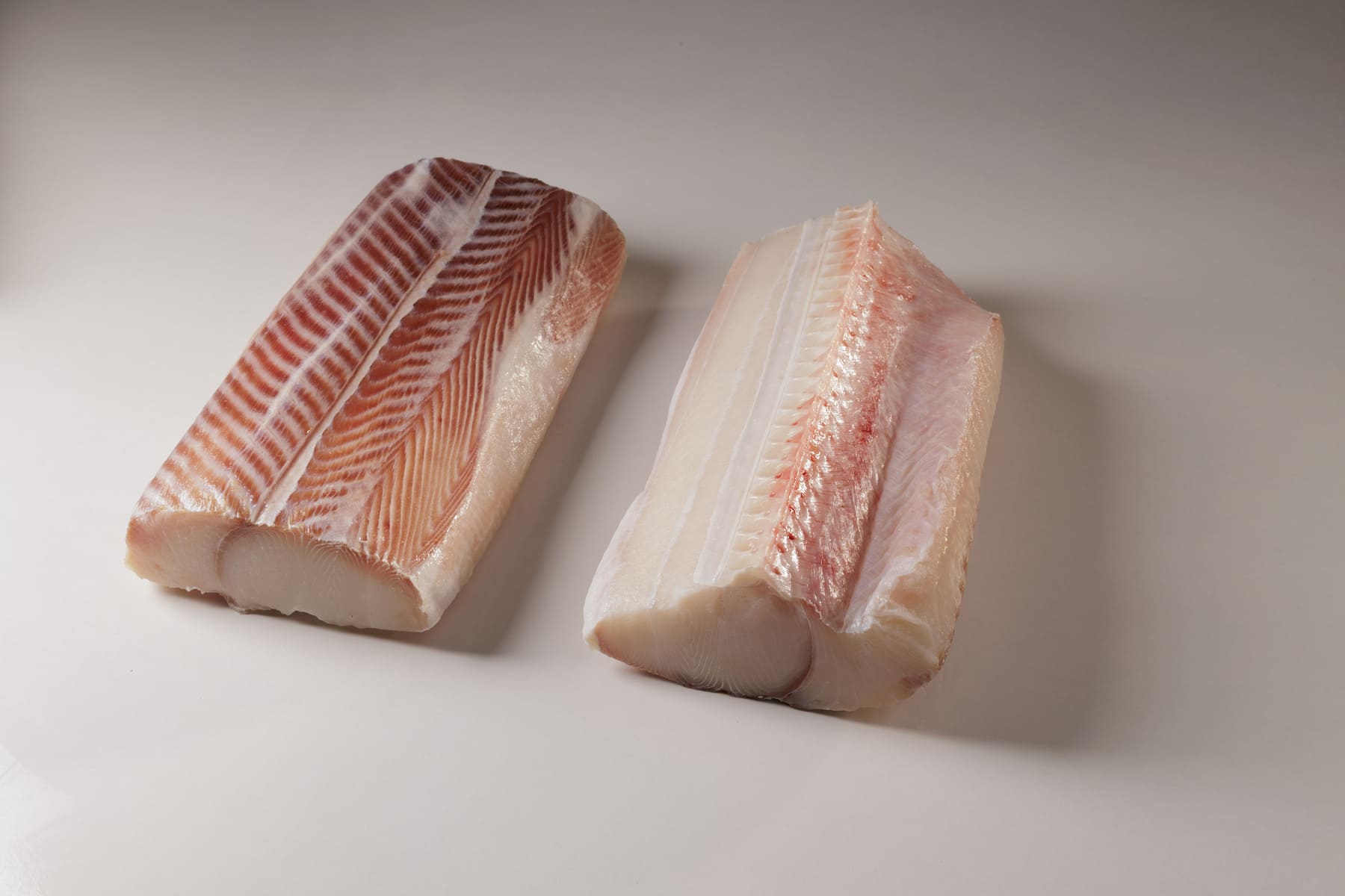 productos tintorera 1 2 – pesca sostenible | Espaderos del Atlántico