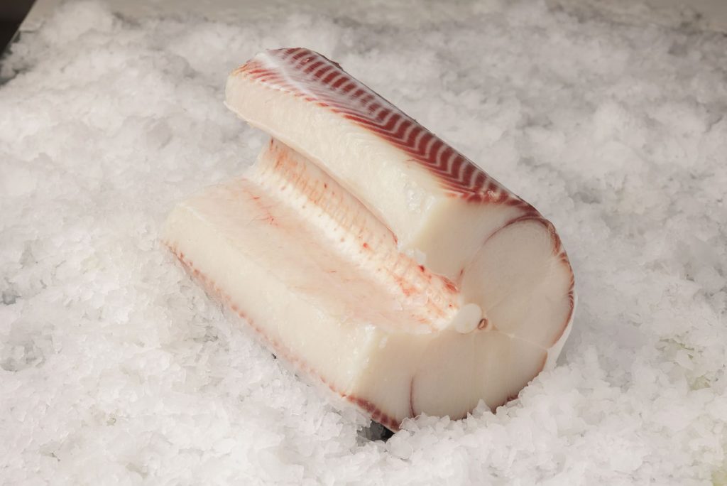 sobre nosotros foto 3 – pesca sostenible | Espaderos del Atlántico