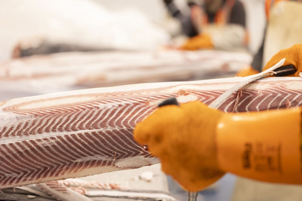 sobre nosotros foto 4 – pesca sostenible | Espaderos del Atlántico